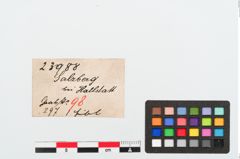 Etiketten zu Bronzebrillenfibel (NHMW-PRAE-023988)